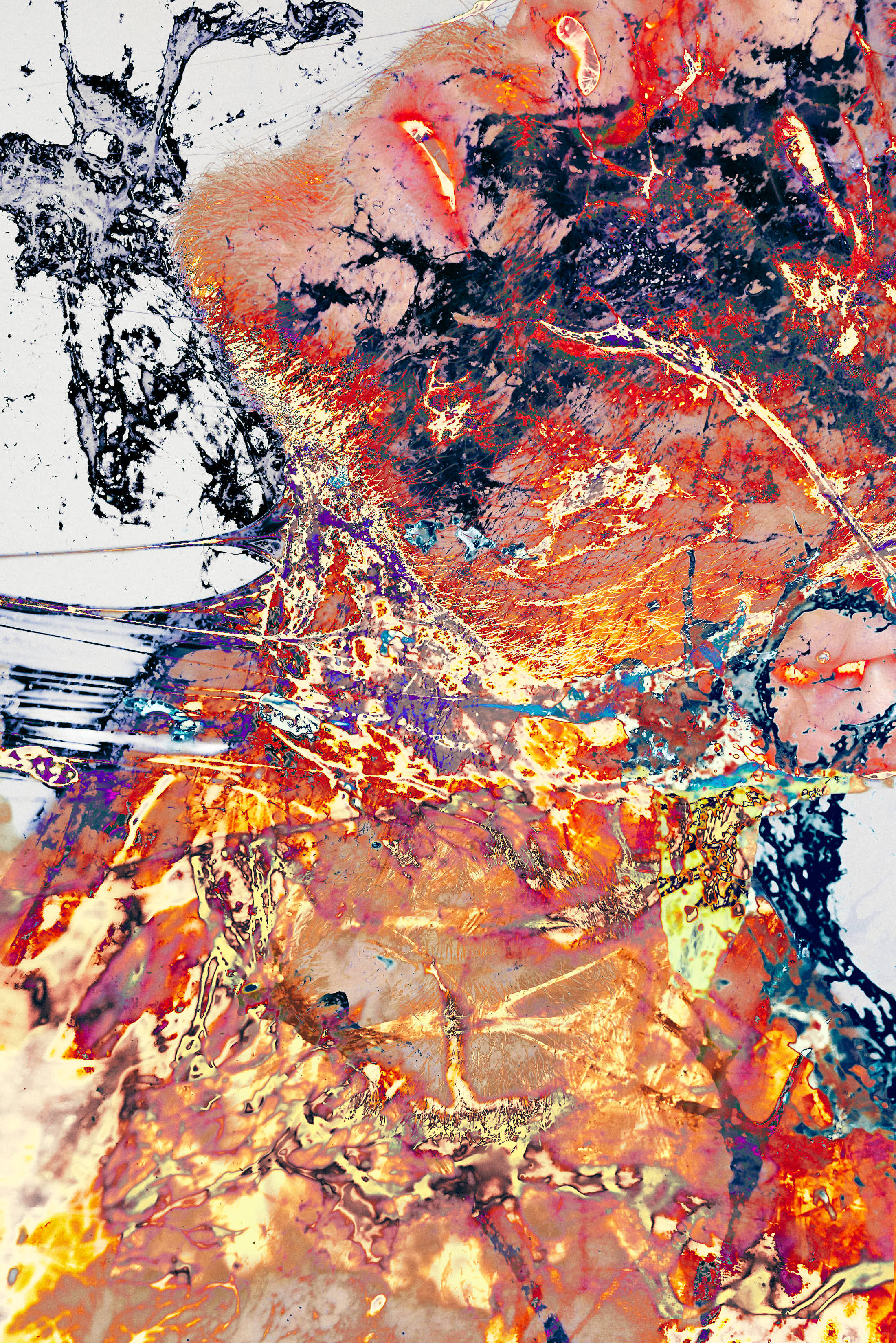 Vincent Experiments – Xavier Murillon